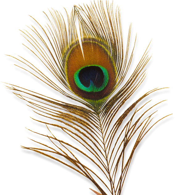 Перо Павлина Пнг Clipart (1200x630), Png Download