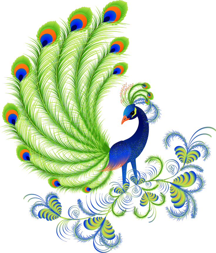 Cartoon Peacock Feathers - Peacock Beautiful Pictures Of Cartoon Clipart (735x861), Png Download