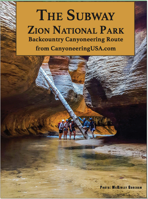 Subway - Poster Clipart (698x698), Png Download