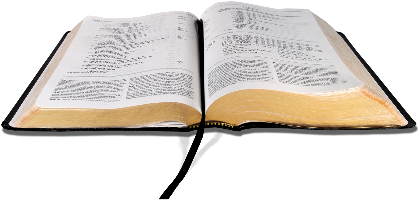 La Biblia Png - Open Bible Transparent Background Clipart (800x504), Png Download