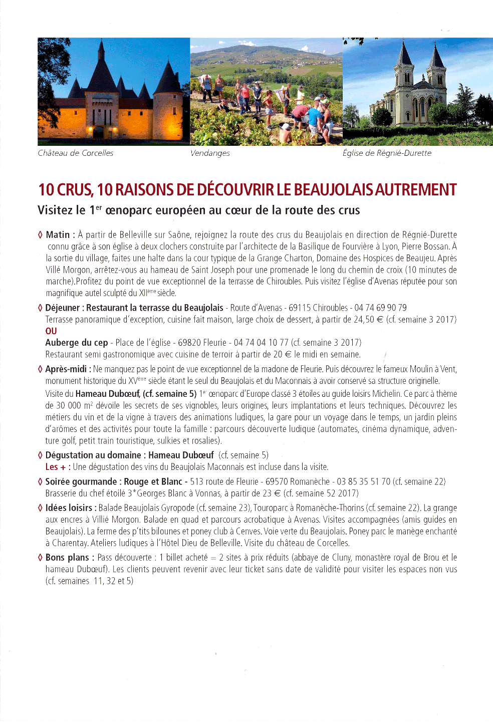 Beaujolais Jour 4 - Tourist Attraction Clipart (984x1453), Png Download