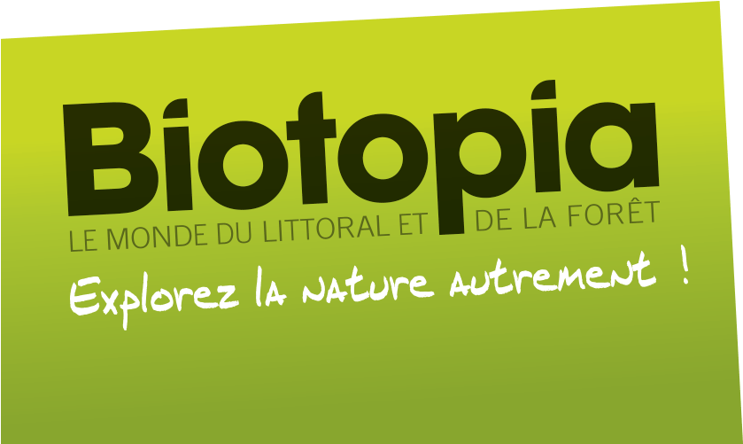 Biotopia Bloc Vert Bas 129660 - Graphic Design Clipart (881x543), Png Download