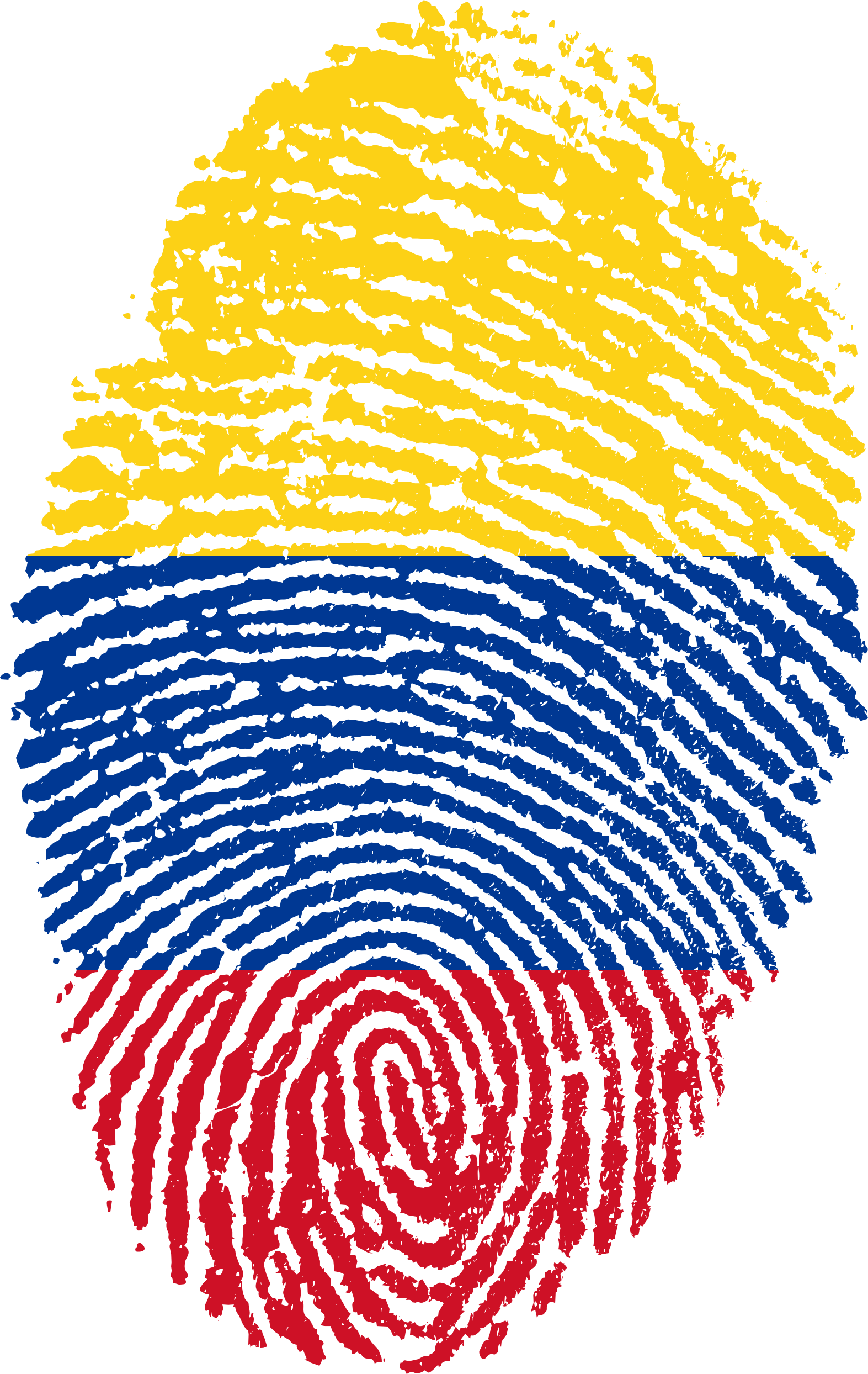 Expat Medellin Living Part - Bandera De Colombia Sin Fondo Clipart (1573x2488), Png Download