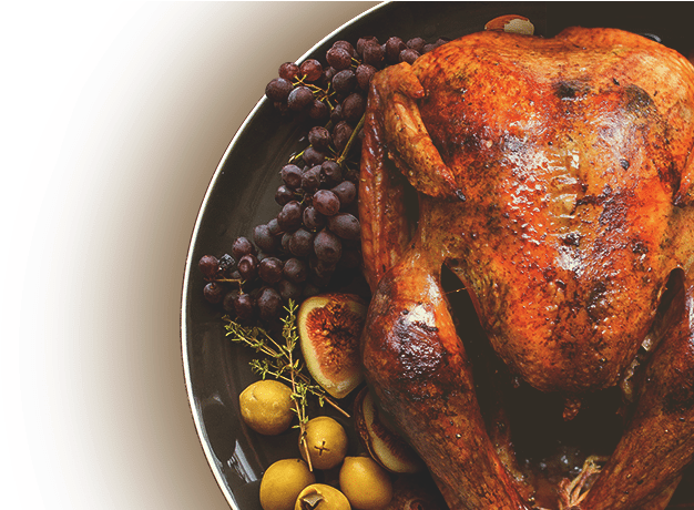Thanksgiving-turkey - Beige Clipart (1920x459), Png Download