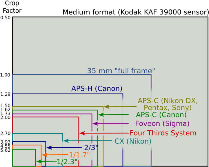 Canon, Nikon,sony, Pentax, Panasonic Sensor Size Comparison - Apc Vs Full Frame Clipart (734x600), Png Download