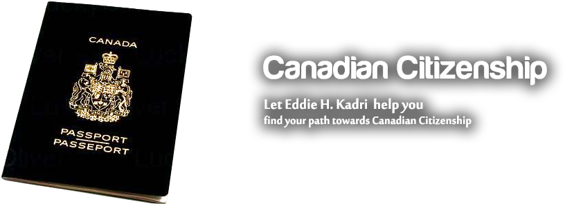 Detention And Removal Proceedings - Monarch Clipart (960x368), Png Download