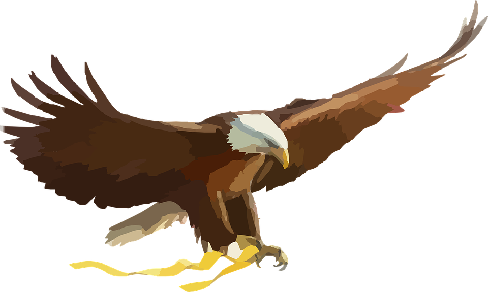 Golden Eagle Clipart Elang - Eagle Clipart Png Transparent Png (960x575), Png Download