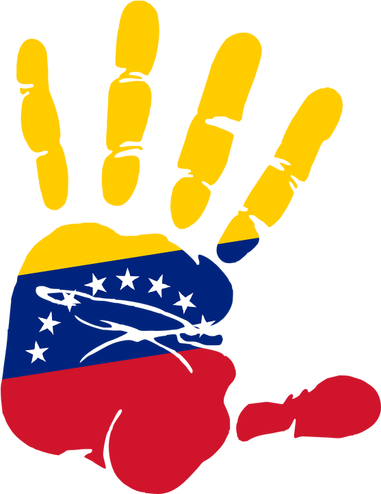 Venezuela Png - Mano Bandera De Venezuela Clipart (717x897), Png Download