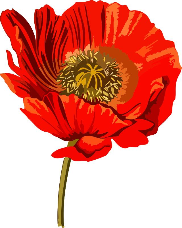 Medium Image - Opium Clipart Transparent - Png Download (641x800), Png Download