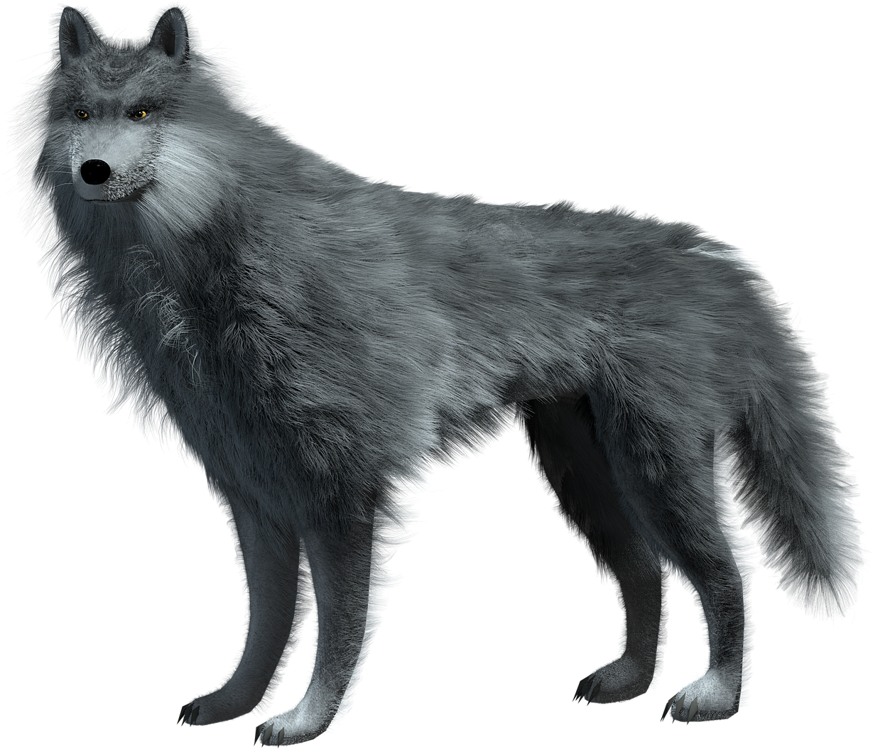 Cg Wolf - Gambar Serigala Png Clipart (1200x1030), Png Download