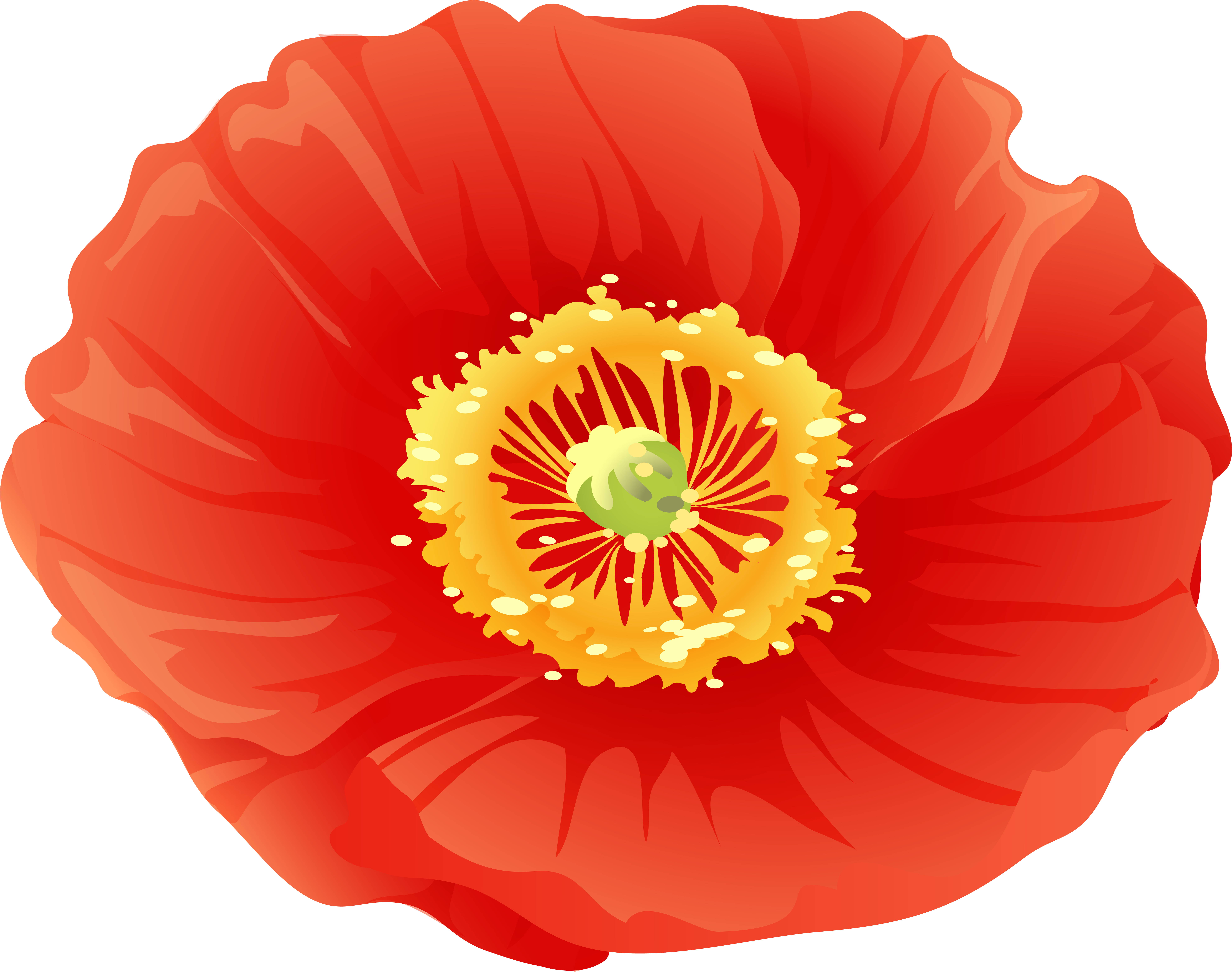 Free Png Download Red Poppy Flower Png Images Background - Corn Poppy Clipart (850x672), Png Download