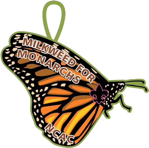 Scouts Take Part In Monarch Butterfly Conservation - Monarch Butterfly Clipart (627x637), Png Download