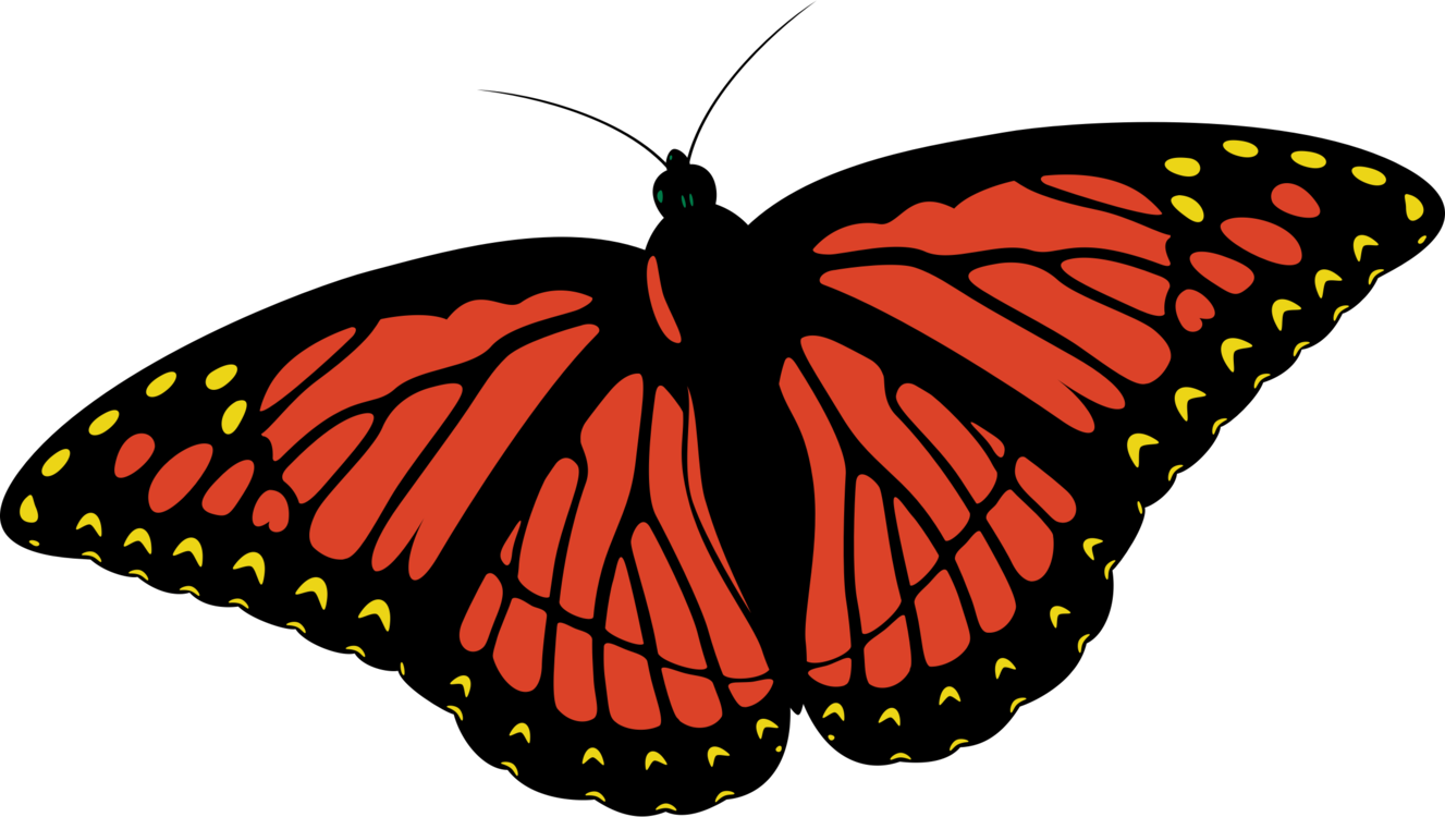 Monarch Butterfly Insect Coloring Book Drawing - Living Thing Clip Art - Png Download (1327x750), Png Download