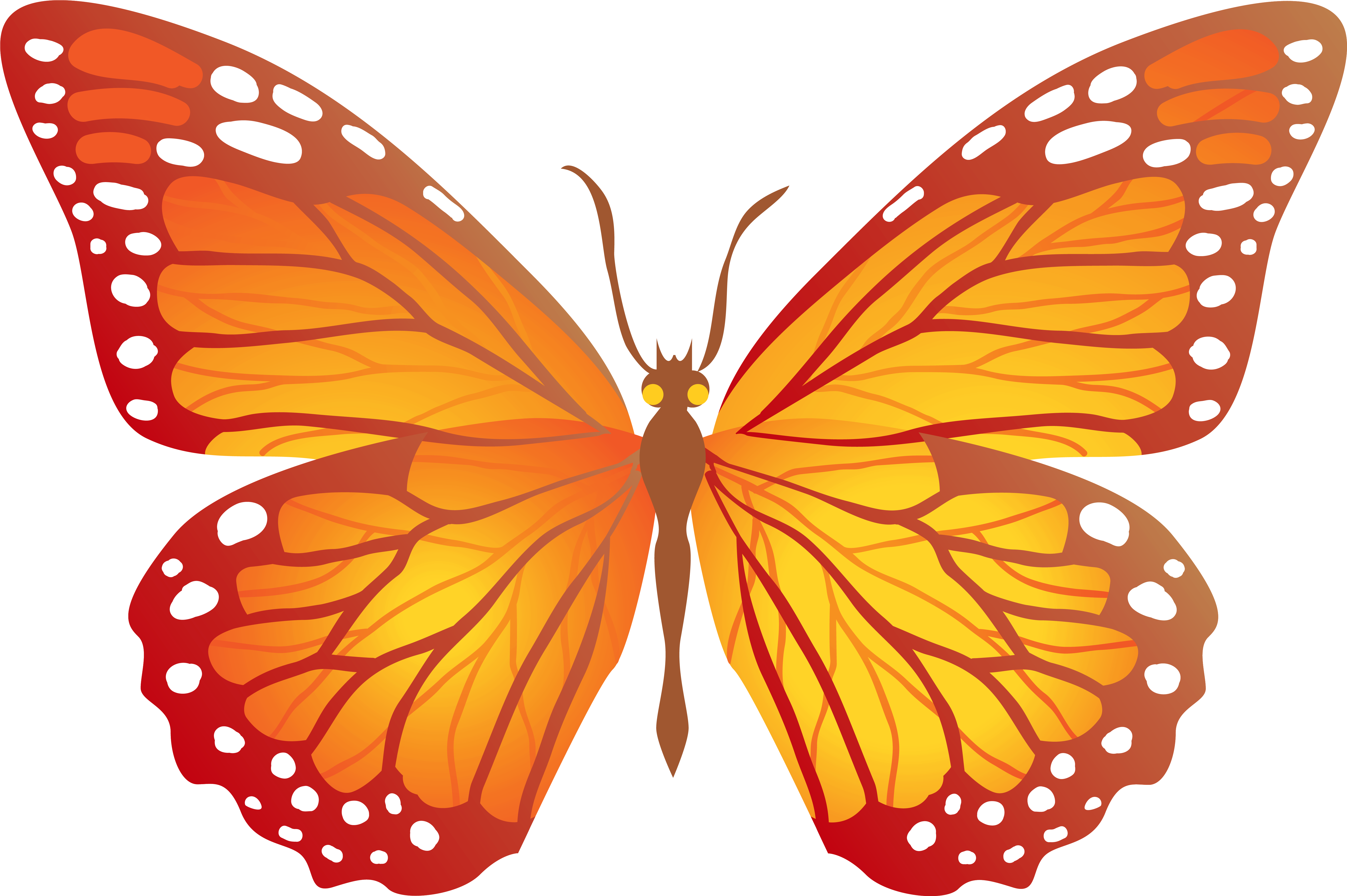 Orange Butterfly Clipart Png Transparent Png (6267x4233), Png Download