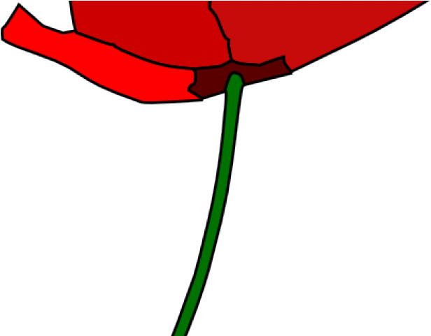 Picture Library Free On Dumielauxepices Net Flower - Cartoon Poppy Flower Clipart (640x480), Png Download