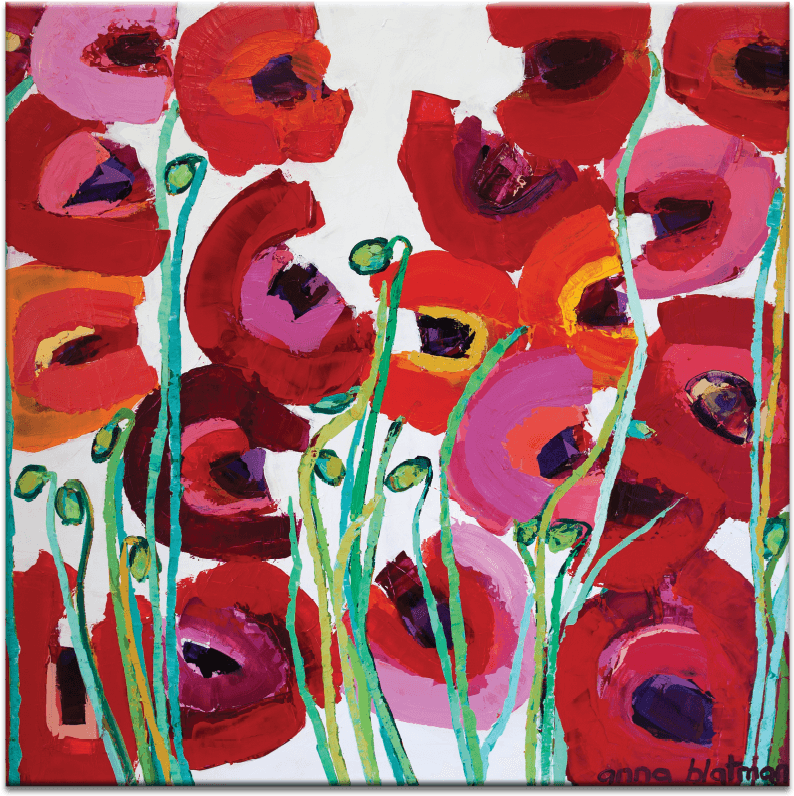 45abg Mixed Poppy - Dibujo Calido Y Frio Clipart (900x900), Png Download