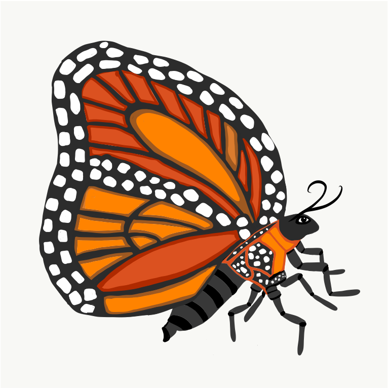 Monarch Butterfly - Illustration Clipart (1024x1024), Png Download