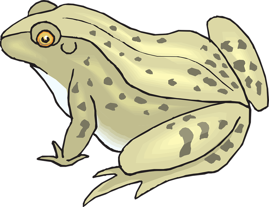 Collection Of Funny Toad Cliparts - Speckled Clip Art - Png Download (932x720), Png Download