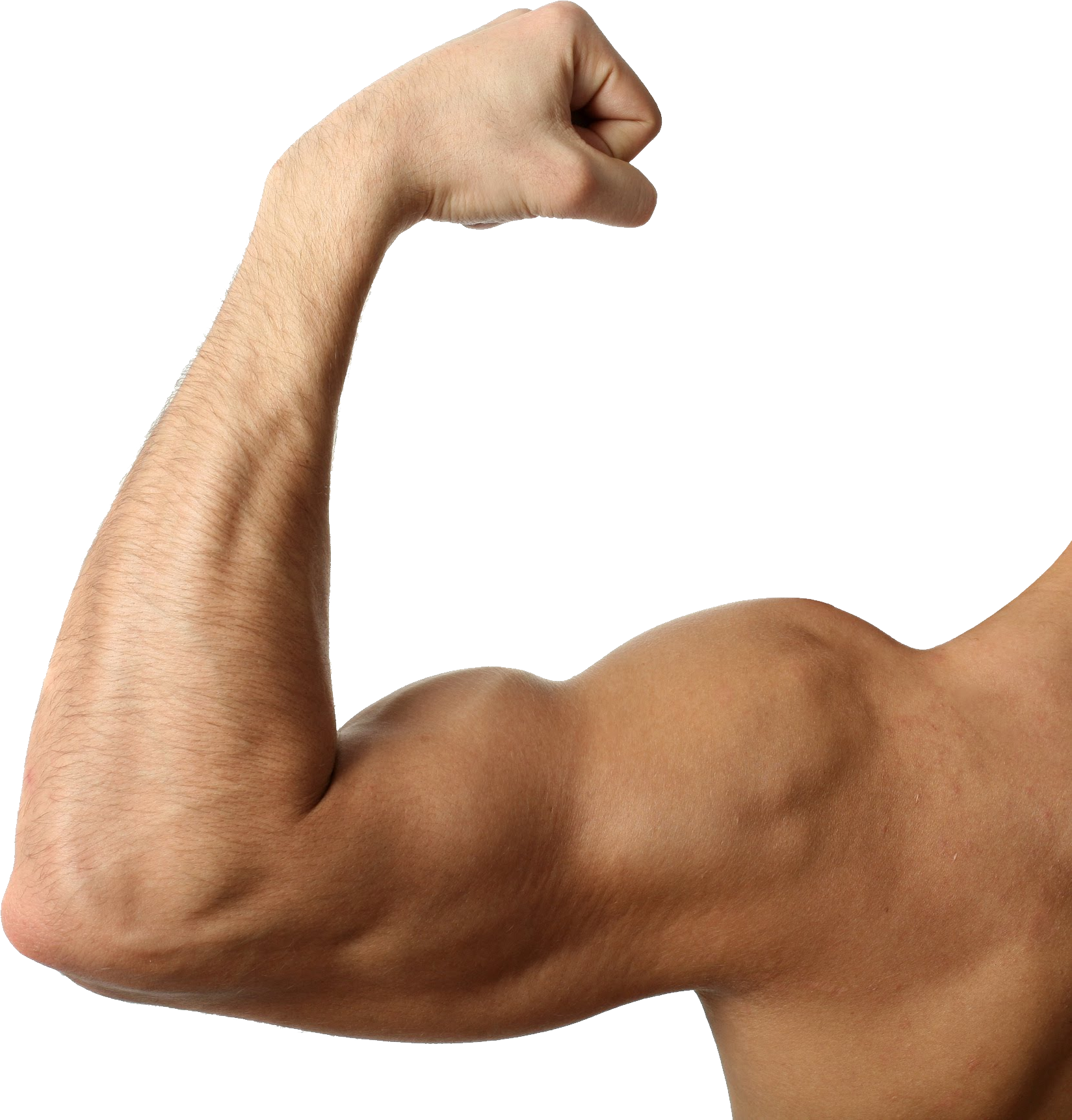 Muscle - Flexing Muscle Clipart (1649x1722), Png Download