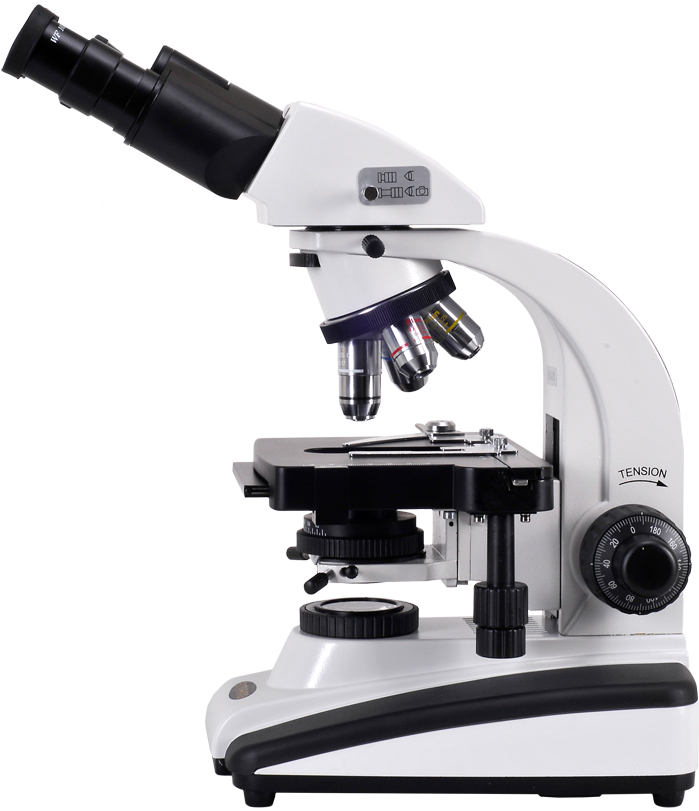 Microscope Png Clipart (1000x1000), Png Download