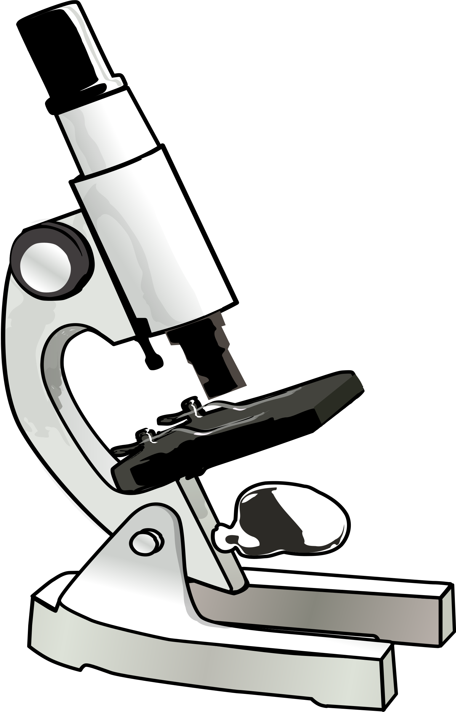 Clipart Info - Microscope Clipart - Png Download (800x1248), Png Download