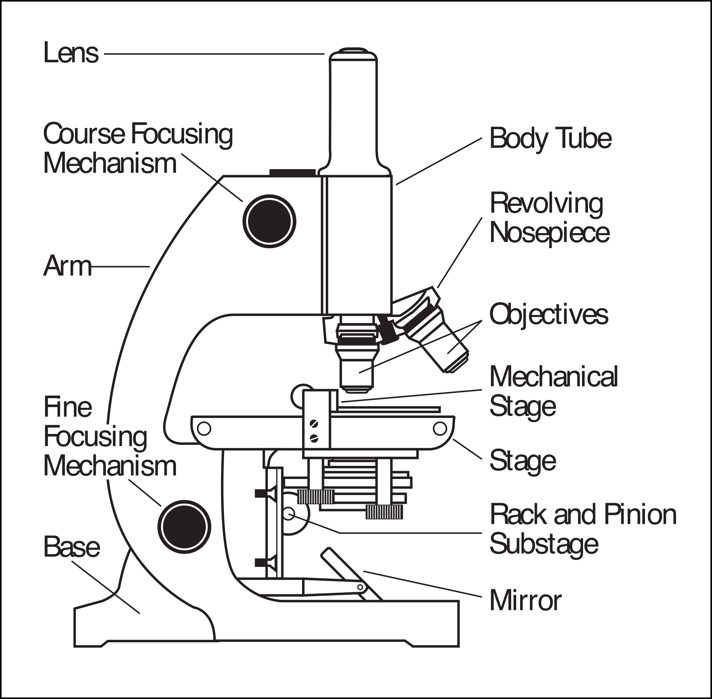 Microscope Parts Labeled - Parts Of A Microscope Clipart (2400x2354), Png Download