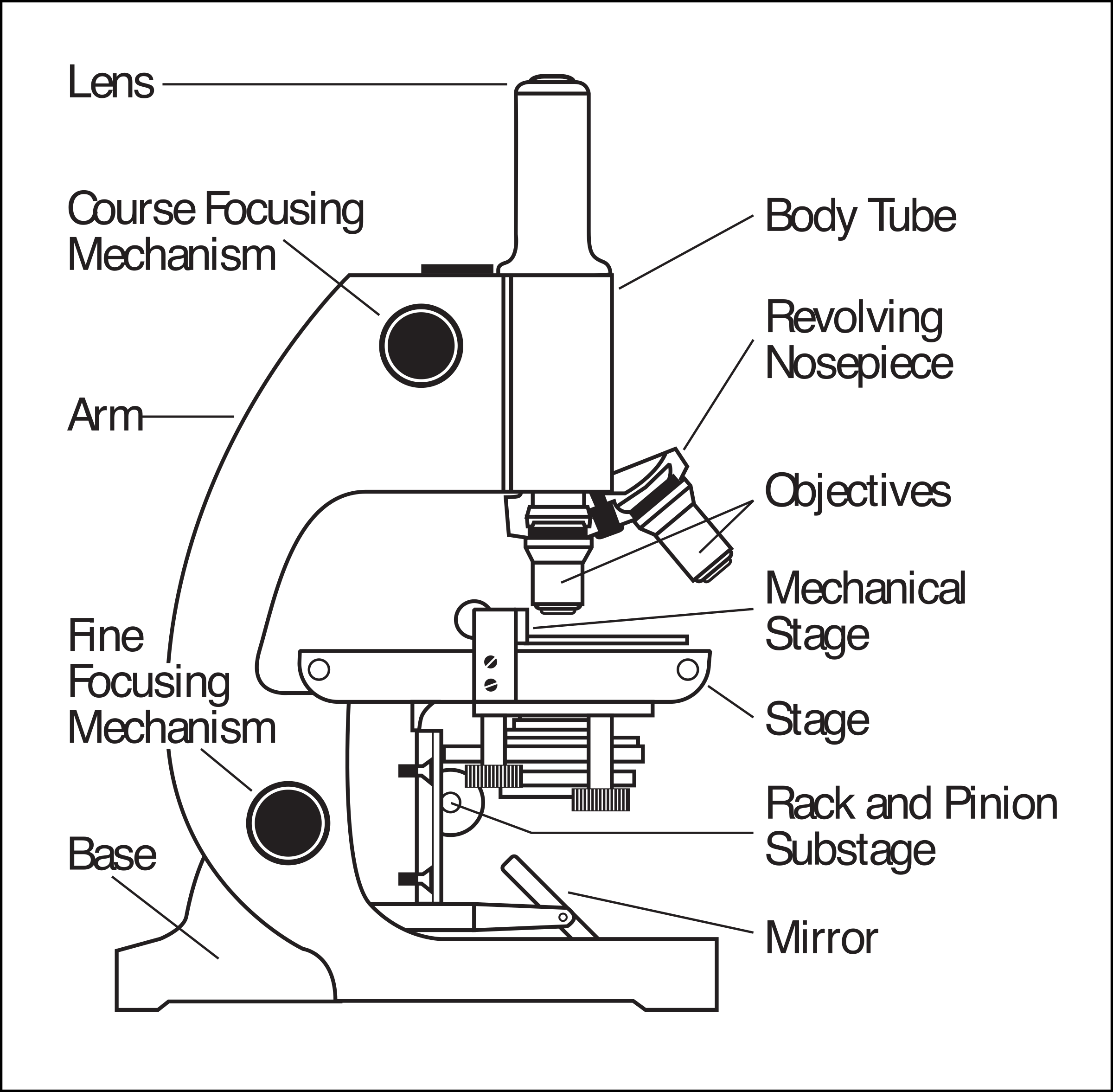 Microscope Parts Labeled - Parts Of A Microscope Clipart - Large Throughout Parts Of A Microscope Worksheet