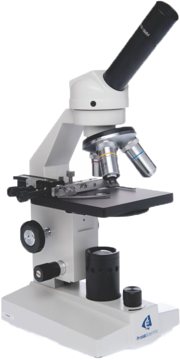Microscope - Milling Clipart (500x751), Png Download