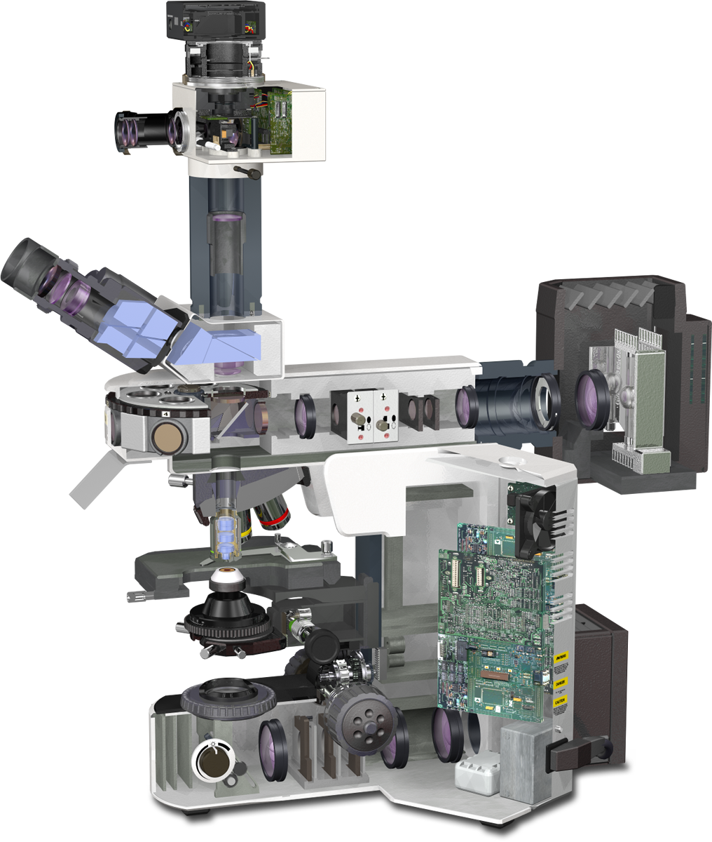 Olympus Bx51 Microscope Light - Olympus Bx51 Clipart (1016x1200), Png Download