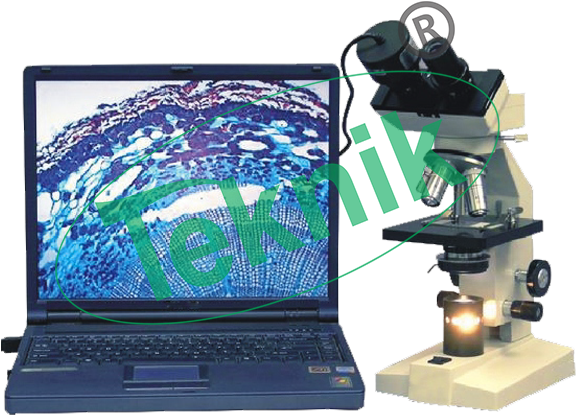 Microscope Equipment - Output Device Clipart (800x800), Png Download