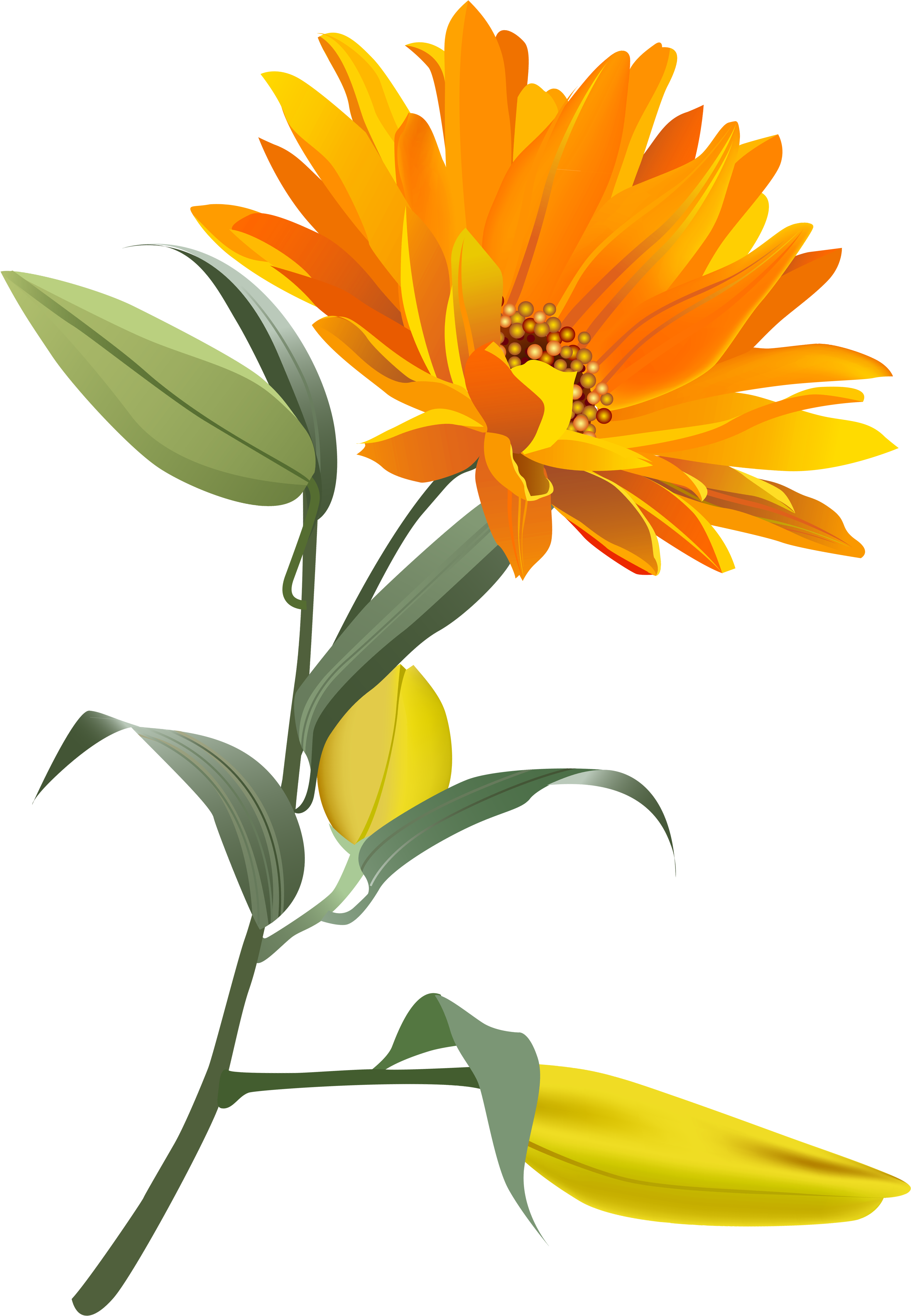 Orange Flower Png Clip Art Image - Orange Flowers Transparent Background (3243x4747), Png Download