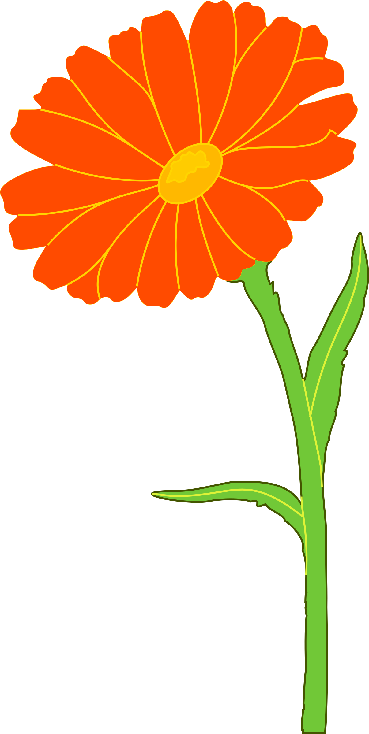 Marigold Free Cut Out - Marigold Clipart - Png Download (1205x2400), Png Download