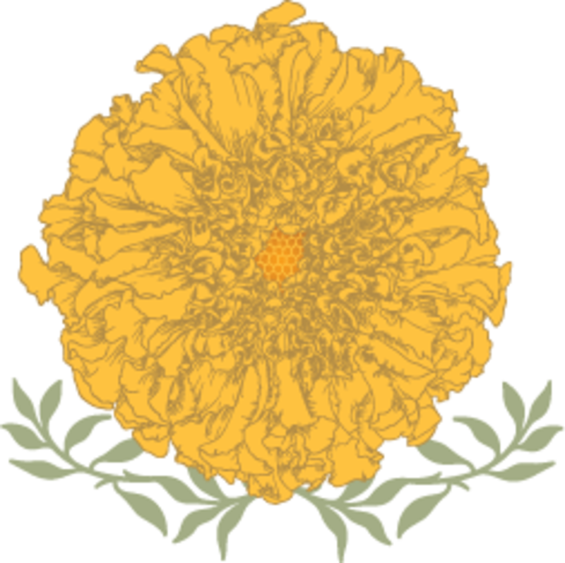 Sunflower Clipart (800x797), Png Download