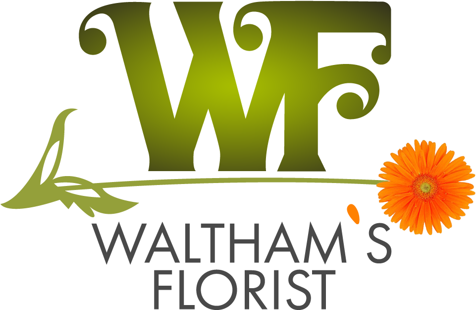 Waltham's Florist Clipart (978x652), Png Download
