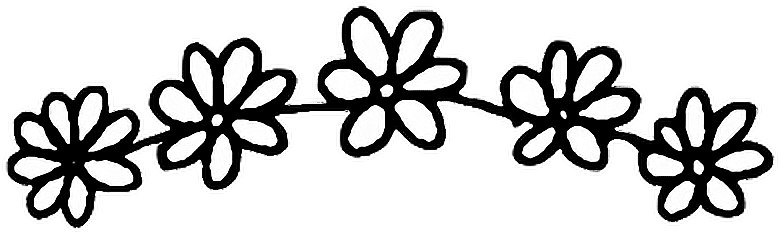 Summer Background With Marigold Flowers - Black And White Transparent Clipart (930x452), Png Download