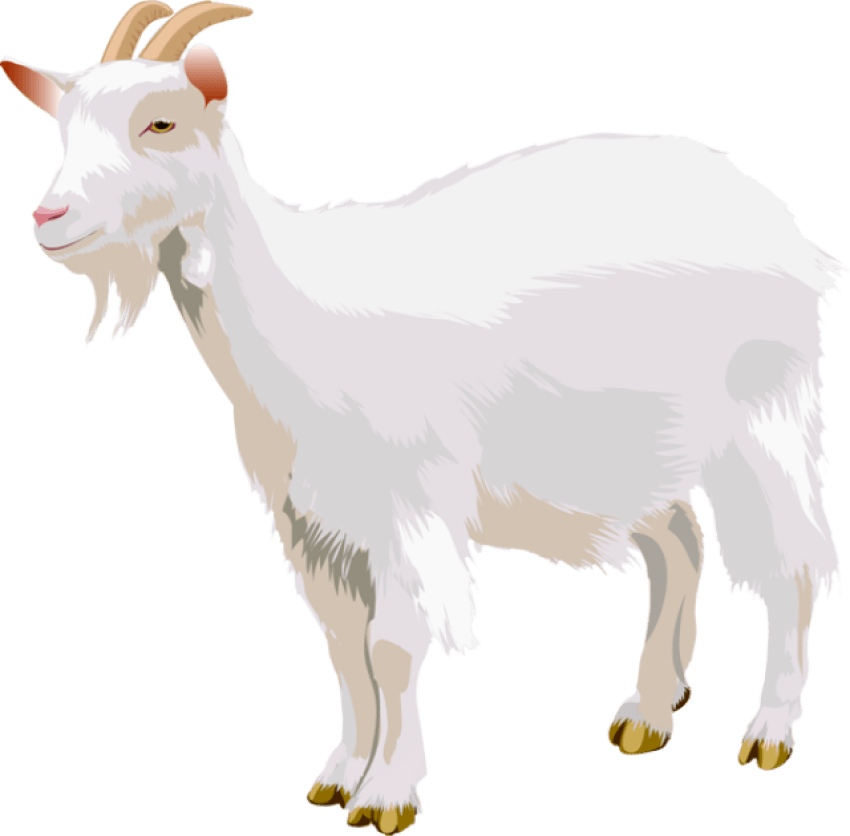 Goat Png - Goat Clip Art Png Transparent Png (640x629), Png Download