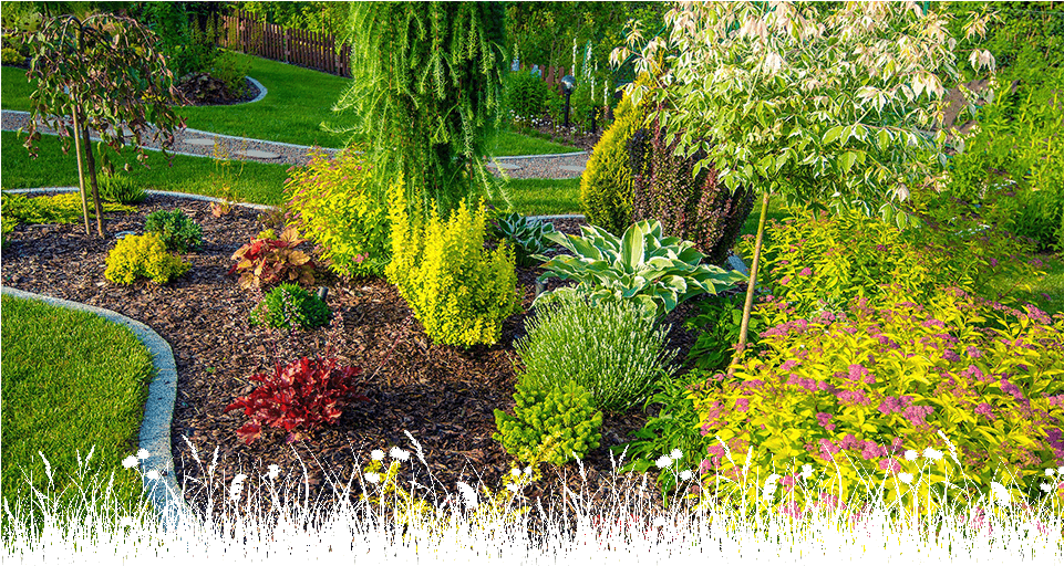 Overplanting Clipart (960x540), Png Download