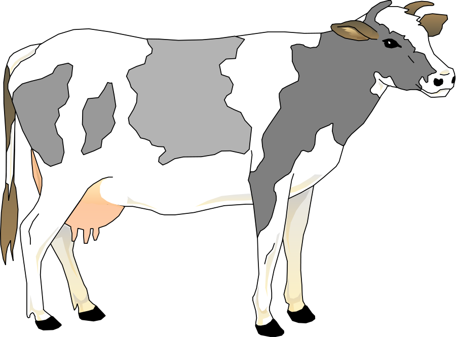 Cow 3 Small Clipart 300pixel Size, Free Design - Grey And White Cow - Png Download (900x665), Png Download