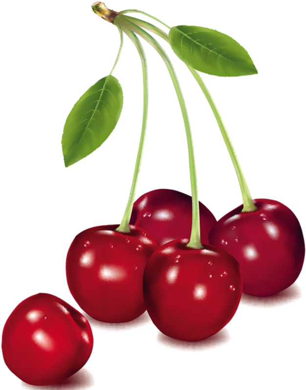 Фотки Fruit Clipart, Food Clipart, Fruit Painting, - Fruits Vector - Png Download (626x797), Png Download