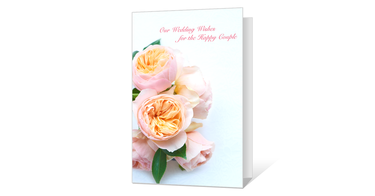 Hybrid Tea Rose Clipart (1200x628), Png Download