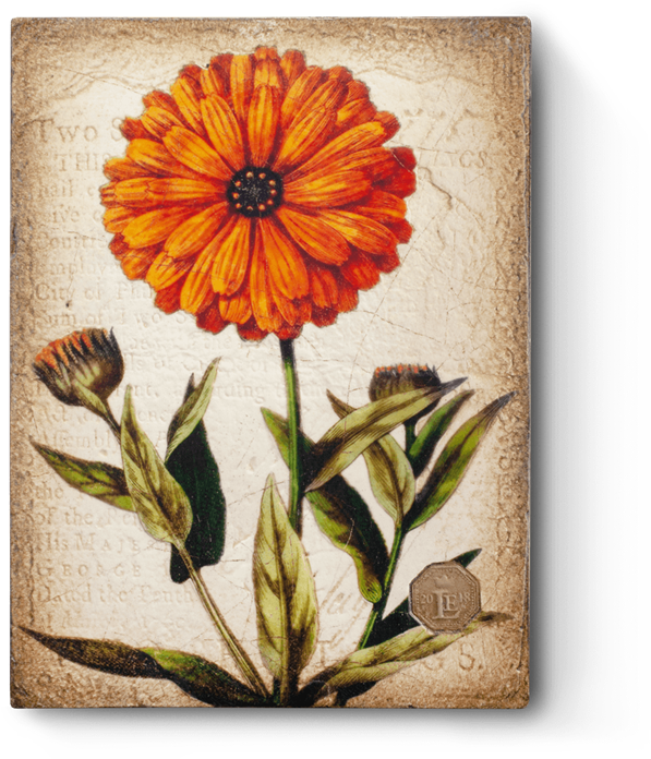 Marigold Necklace, Marigold Pendant, Vintage Marigold, Clipart (597x696), Png Download