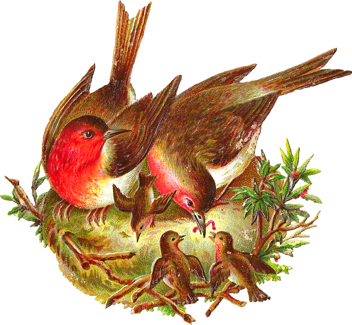 Nest - Birds In Nest Png Clipart (1427x1285), Png Download
