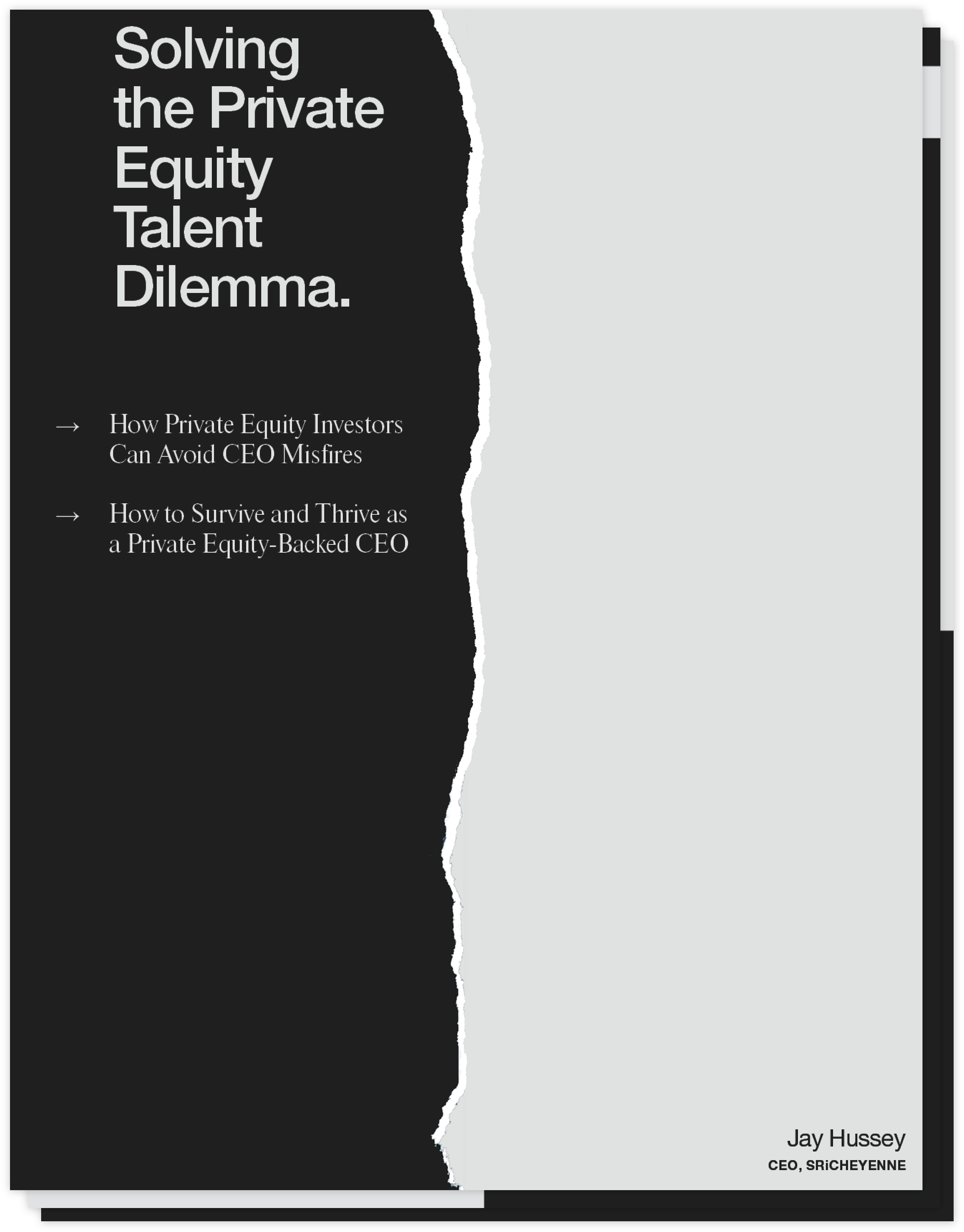 Private Equity - Monochrome Clipart (2899x3765), Png Download