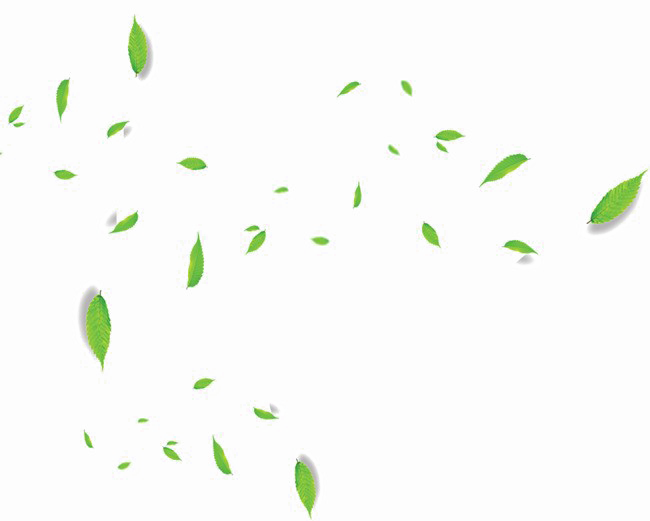 Falling Green Leaves Png Transparent Image - Insect Clipart (650x521), Png Download