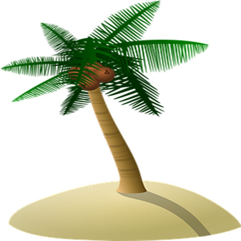 Arecaceae Coconut Tree Island Free Download Png Hq - Gambar Pohon Kelapa Kartun Clipart (787x787), Png Download