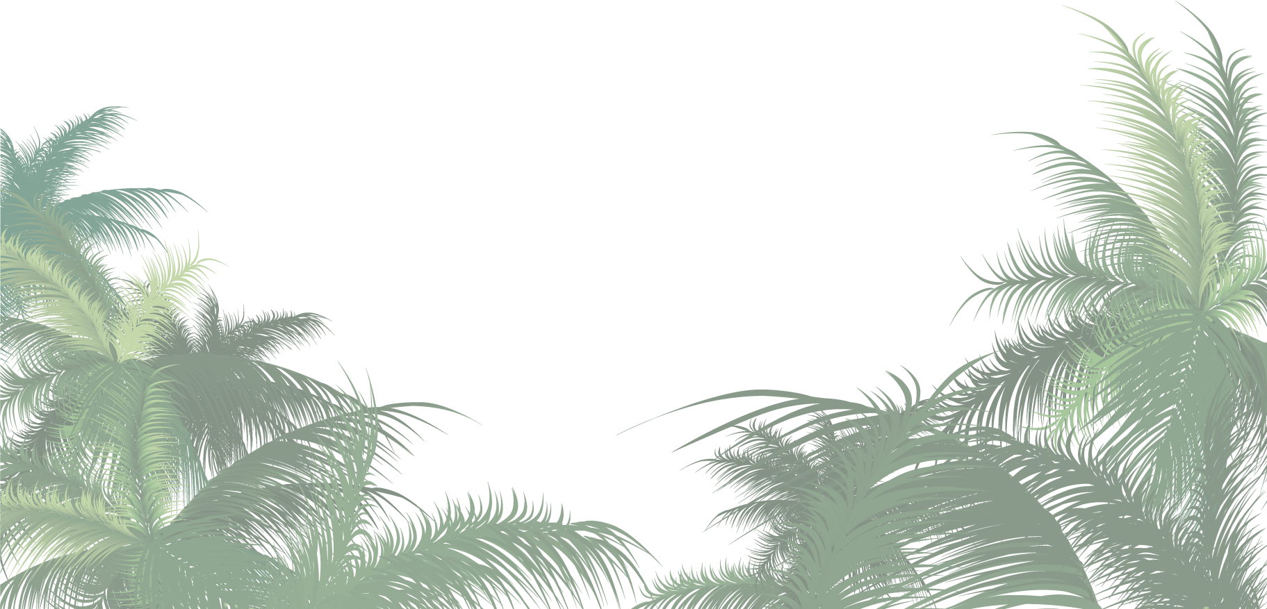 Scroll Down Ménagerie By Night - Palm Tree Png Clipart (1823x877), Png Download
