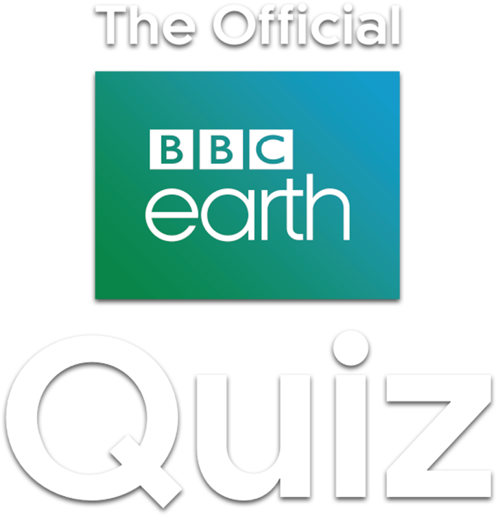 The Official Bbc Earth Quiz Will Test The Knowledge - Bbc Earth Clipart (723x752), Png Download