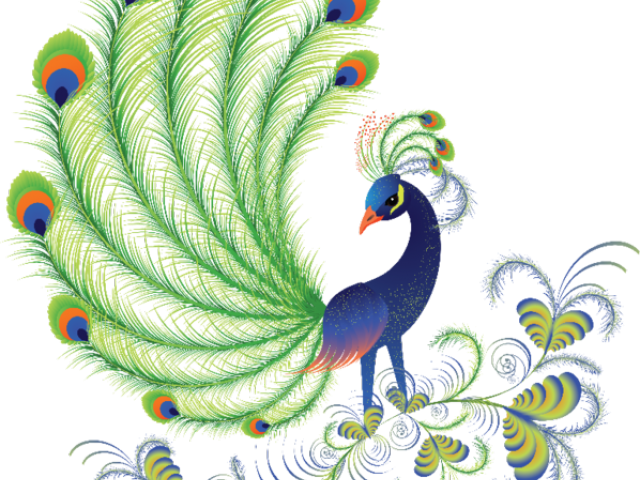 Peafowl Clipart Body - Peacock Picture In Cartoon Beautiful - Png Download (640x480), Png Download