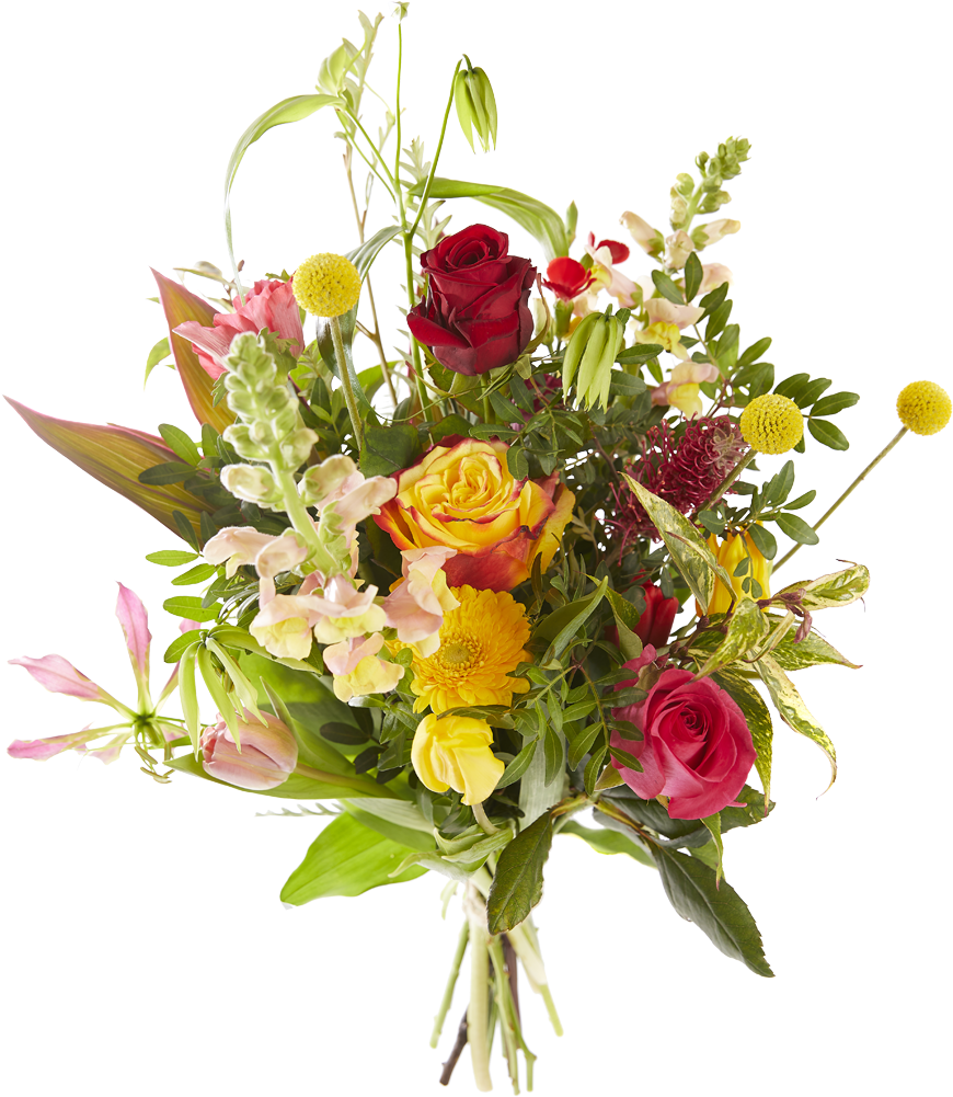 Valentijnsdag Boeket Kleurrijke Valentijn - Floribunda Clipart (1000x1000), Png Download