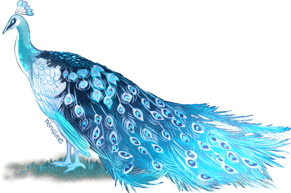 Izqjj8s - Peafowl Clipart (1002x650), Png Download